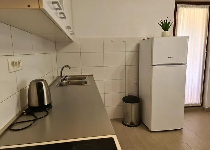Apartment Celic With Terrace *